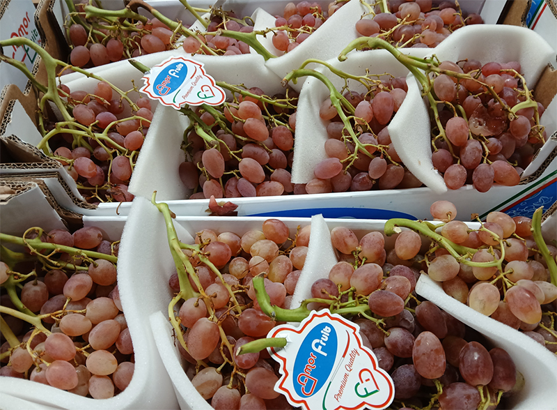 Uva senza semi Early Red - Puglia - 2,50/3,00 euro al chilogrammo